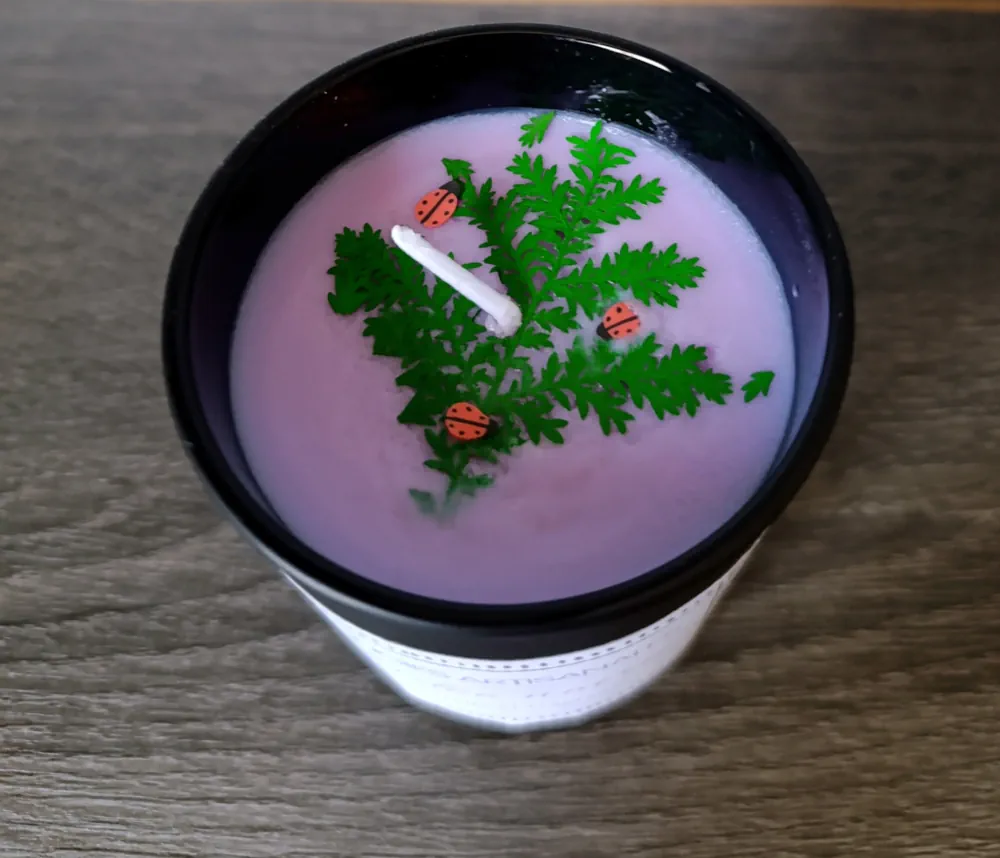 Bougie artisanale à la cire violette dans un contenant noir de 200ml, décorée d’une petite branche verte et de coccinelles rouges en surface, parfum Magnolia japonais.